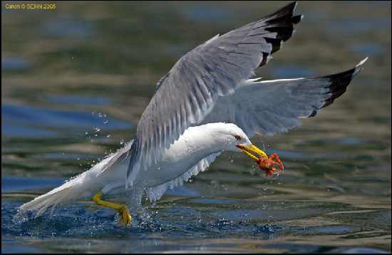 Poznań fotowoltaika Poznań fotowoltaika