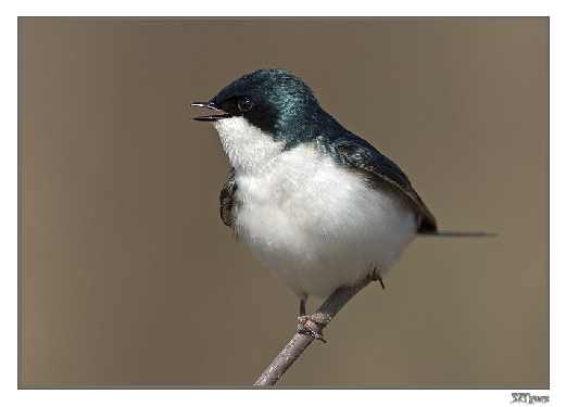 fotowoltaika Łęknica