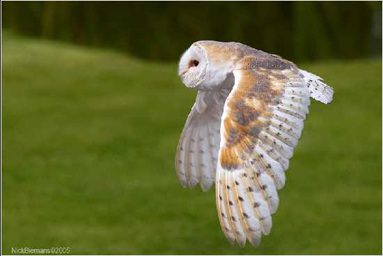 Fotowoltaika Kędzierzyn-Koźle