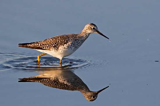 fotowoltaika Międzybórz