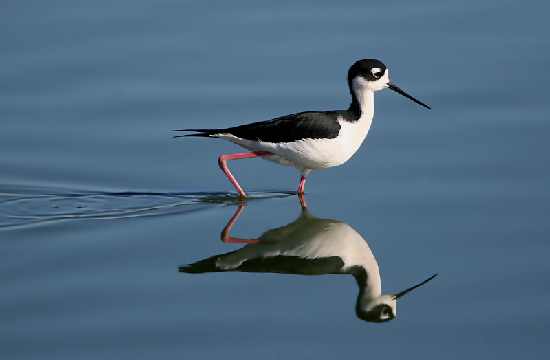 koparki w Bydgoszczy