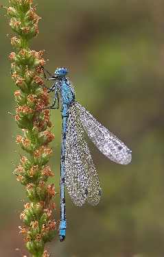 Fotowoltaika Turek Fotowoltaika Turek