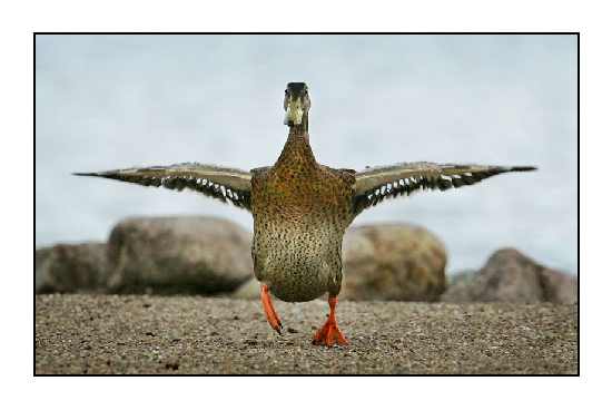 prace ziemne Bydgoszcz