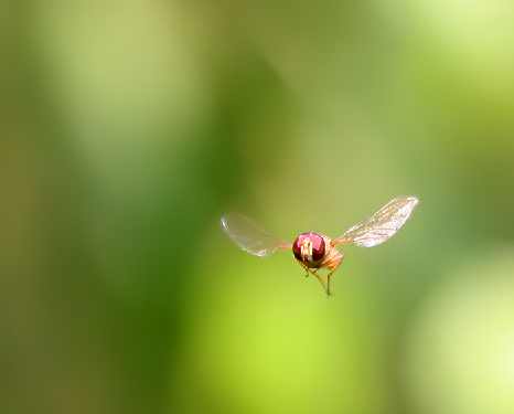 panele fotowoltaiczne Kostrzyn