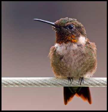 Bydgoszcz kocioł co