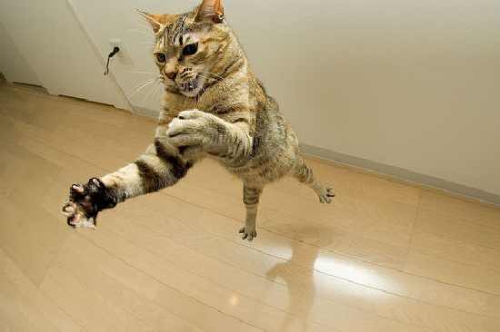 prace ziemne Bydgoszcz