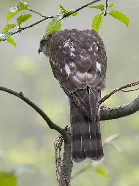 Tuliszków fotowoltaika