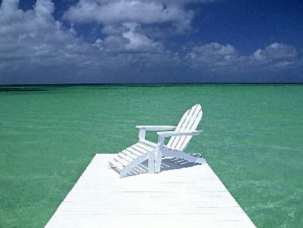 hodowla border collie