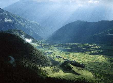 układanie brukowej kostki Chodzież