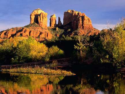 układanie kostki Bydgoszcz