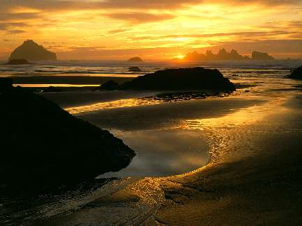 układanie kostki brukowej Czarnków