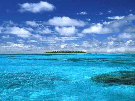 wynajem koparki Bydgoszcz