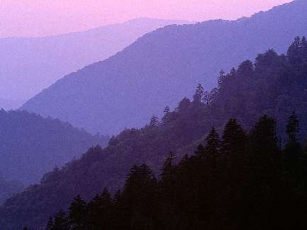 ukladanie pozbruku Bydgoszcz tanio