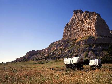 młode border collie