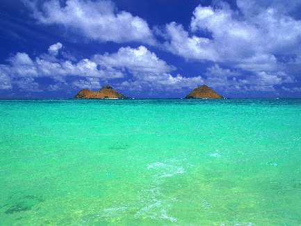 układanie płyt ażurowych Bydgoszcz tanio