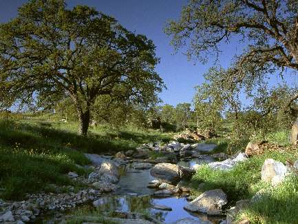 układanie brukowej kostki Grudziądz