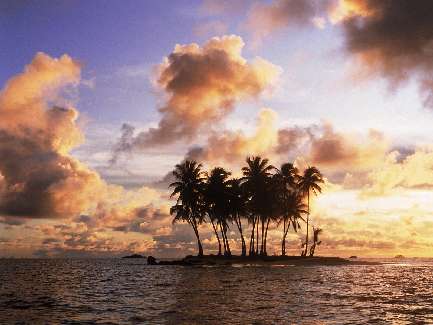 Bydgoszcz układanie bruku cennik