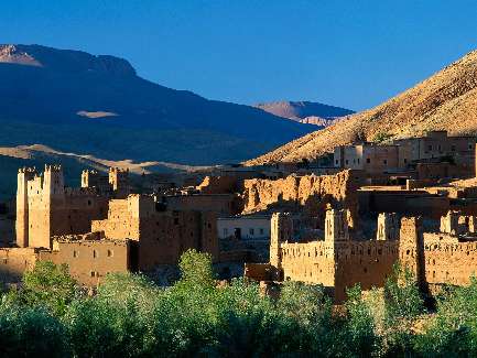 usługi ładowarko koparką Bydgoszcz