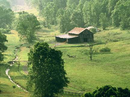 usługi koparką Bydgoszcz