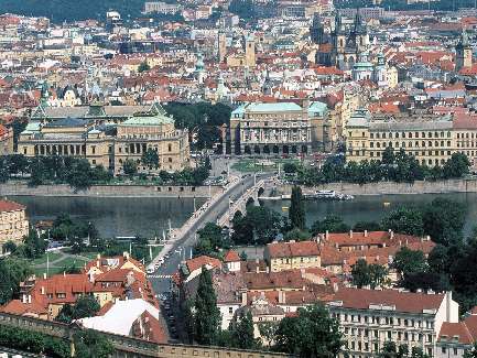 certyfikat border collie