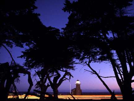 koparka wynajem Bydgoszcz