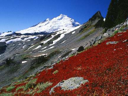 Szczecinek układanie kostki brukowej