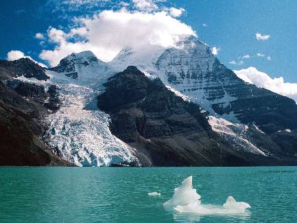 usługi brukarskie Bydgoszcz