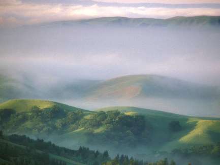 usługi koparką Bydgoszcz