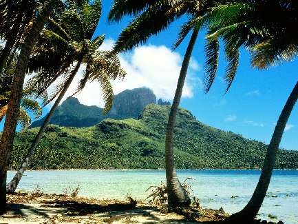 wynajem koparki Bydgoszcz