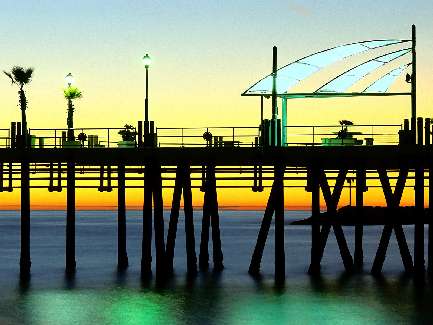 hodowla border collie Kraków