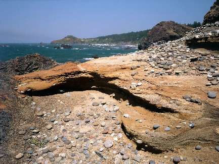 usługi koparko-ładowarką Bydgoszcz