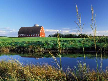 Bydgoszcz brukarstwo