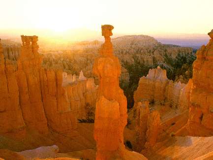 koparka wypożyczalnia Bydgoszcz