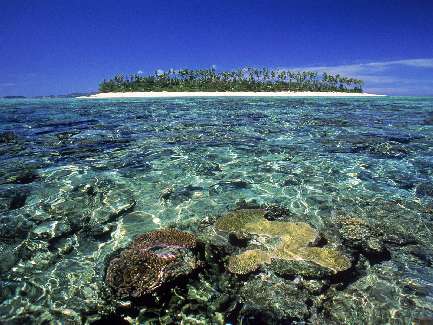 usługi koparko ładowarką Bydgoszcz