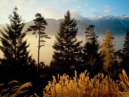 układanie kostki kamiennej Grudziądz