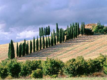 wynajem koparki Bydgoszcz