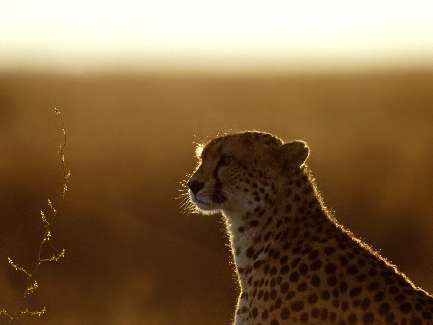 usługi koparką Bydgoszcz