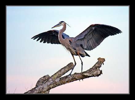 usługi koparko ładowarką Bydgoszcz
