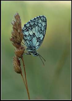 fotowoltaika Kłodawa