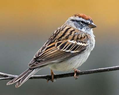 prace ziemne Bydgoszcz