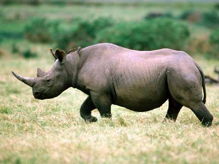 fotowoltaika Stronie Śląskie