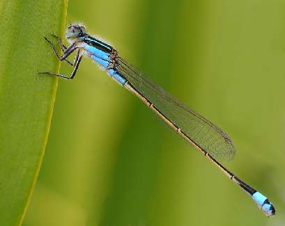 fotowoltaika Wałbrzych