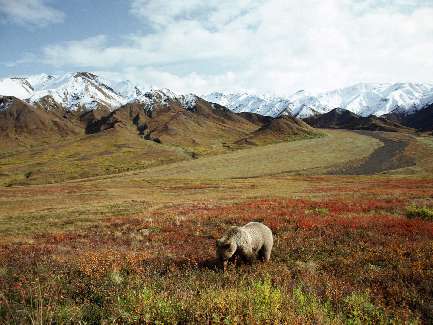 ukladanie polbruku w Wągrowcu