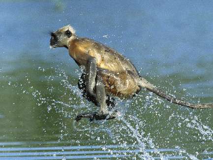 prace ziemne Bydgoszcz prace ziemne Bydgoszcz