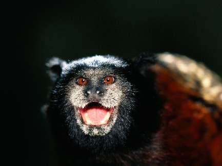 układanie płyt tarasowych Bydgoszcz