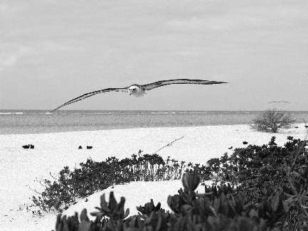 Kepno kostka brukowa ukladanie