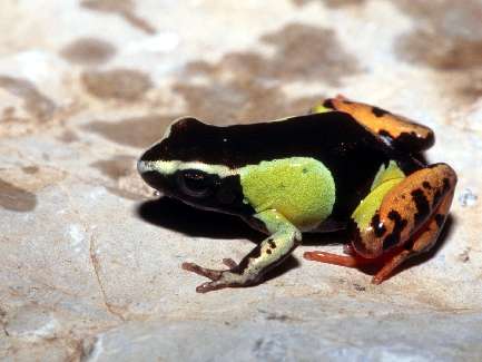 usługi koparko-ładowarką Bydgoszcz