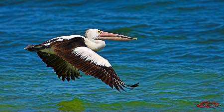 Bydgoszcz roboty koparko ładowarką