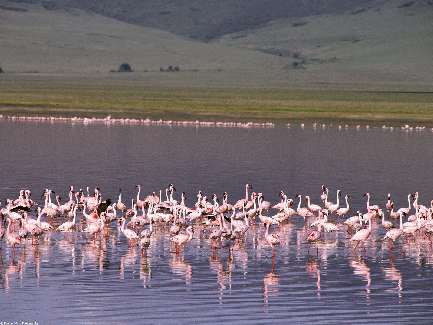uslugi brukarskie Pila