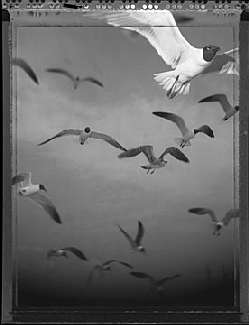 fotowoltaika Opalenica